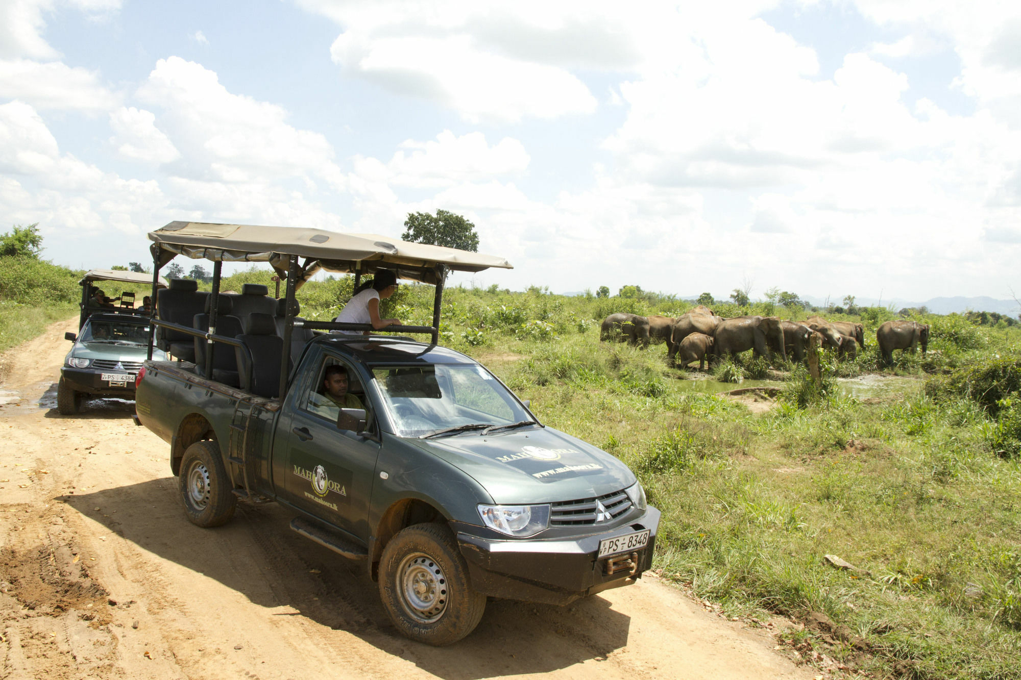 Mahoora Tented Safari Camp Udawalawe Exterior foto