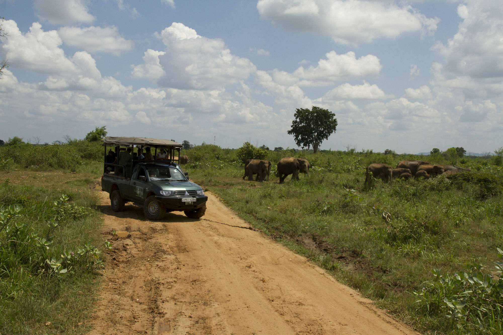 Mahoora Tented Safari Camp Udawalawe Exterior foto